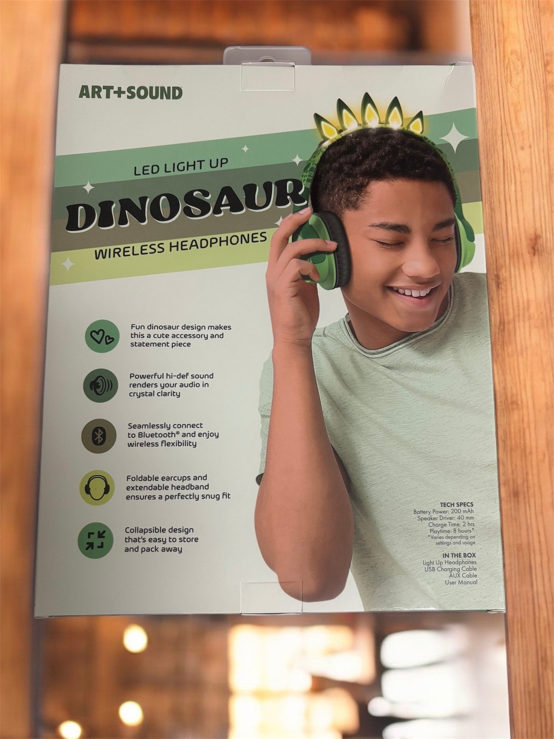 DINO SAUR